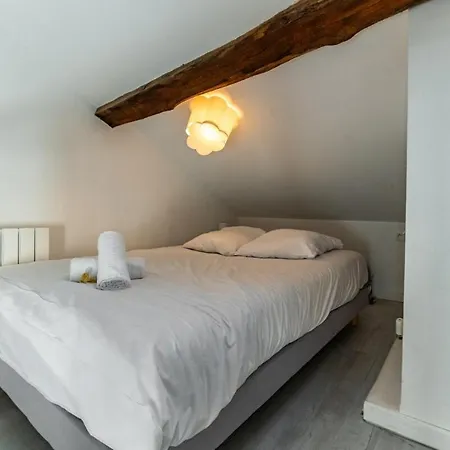 Le Nid - Duplex 公寓 第戎