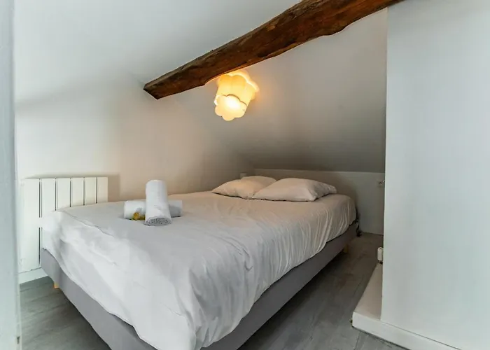 Le Nid - Duplex アパート ディジョン