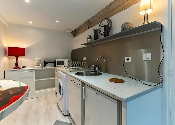 Le Nid - Duplex * ディジョン